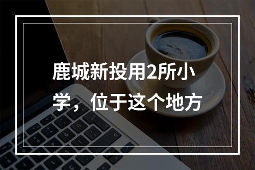 鹿城新投用2所小学，位于这个地方