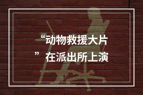 “动物救援大片”在派出所上演