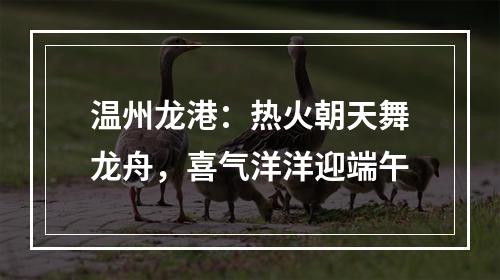 温州龙港：热火朝天舞龙舟，喜气洋洋迎端午