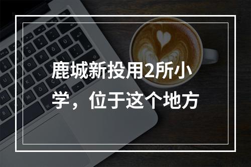 鹿城新投用2所小学，位于这个地方