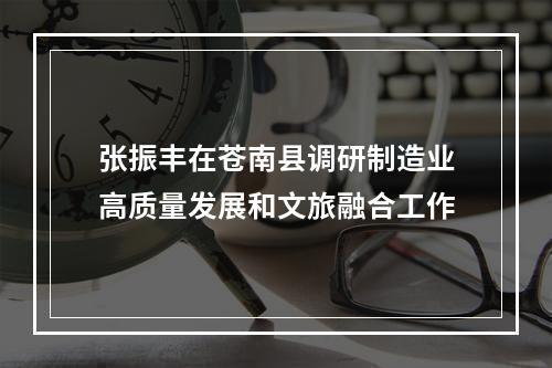 张振丰在苍南县调研制造业高质量发展和文旅融合工作