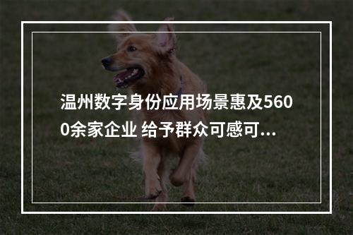 温州数字身份应用场景惠及5600余家企业 给予群众可感可及的实惠