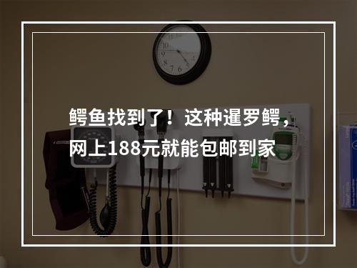 鳄鱼找到了！这种暹罗鳄，网上188元就能包邮到家