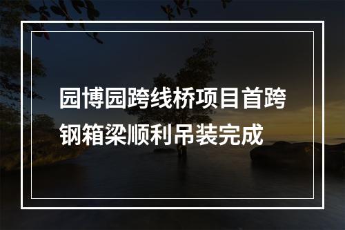 园博园跨线桥项目首跨钢箱梁顺利吊装完成