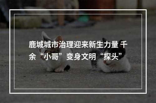 鹿城城市治理迎来新生力量 千余“小哥”变身文明“探头”