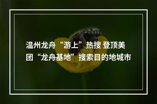 温州龙舟“游上”热搜 登顶美团“龙舟基地”搜索目的地城市