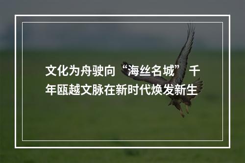文化为舟驶向“海丝名城” 千年瓯越文脉在新时代焕发新生