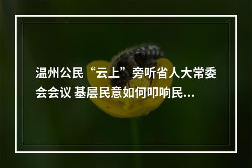 温州公民“云上”旁听省人大常委会会议 基层民意如何叩响民主决策之门