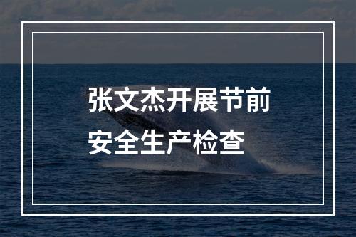 张文杰开展节前安全生产检查