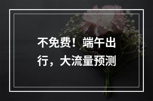 不免费！端午出行，大流量预测