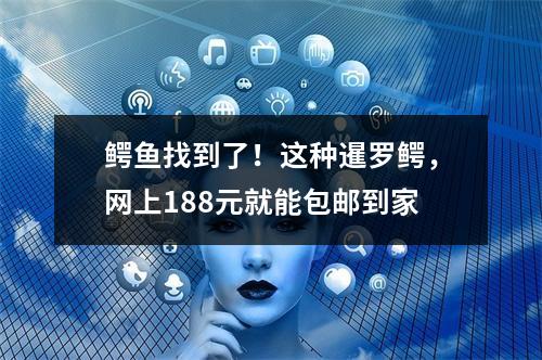 鳄鱼找到了！这种暹罗鳄，网上188元就能包邮到家