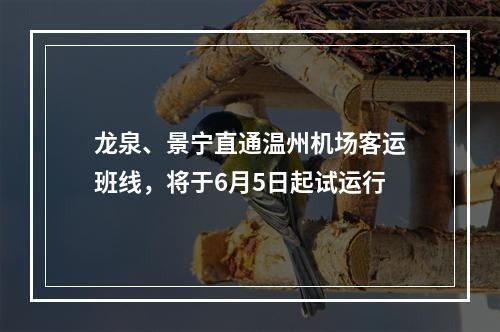 龙泉、景宁直通温州机场客运班线，将于6月5日起试运行