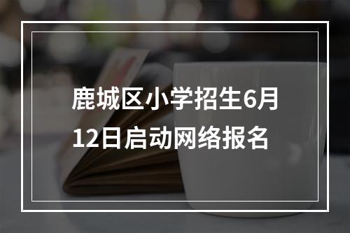 鹿城区小学招生6月12日启动网络报名