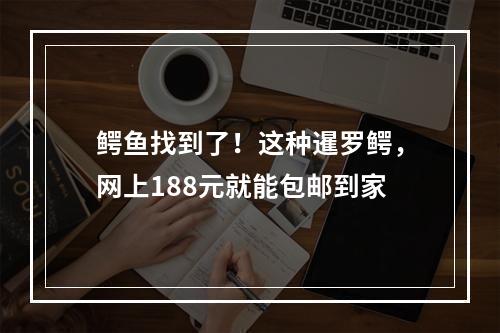 鳄鱼找到了！这种暹罗鳄，网上188元就能包邮到家