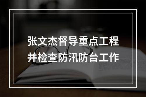 张文杰督导重点工程并检查防汛防台工作