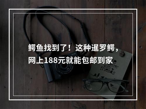鳄鱼找到了！这种暹罗鳄，网上188元就能包邮到家