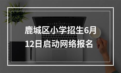 鹿城区小学招生6月12日启动网络报名
