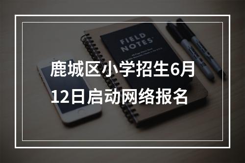 鹿城区小学招生6月12日启动网络报名