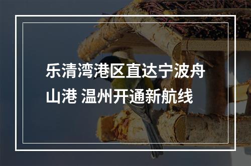 乐清湾港区直达宁波舟山港 温州开通新航线