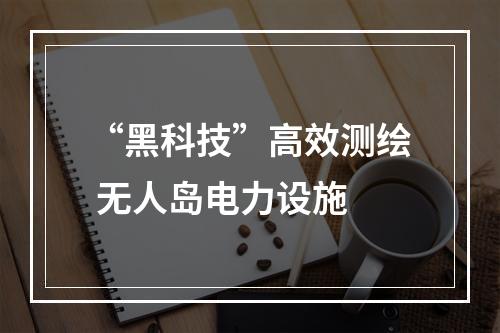 “黑科技”高效测绘 无人岛电力设施