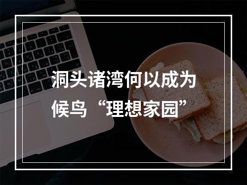 洞头诸湾何以成为候鸟“理想家园”