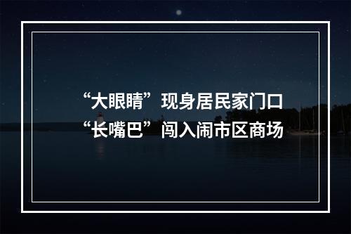 “大眼睛”现身居民家门口 “长嘴巴”闯入闹市区商场