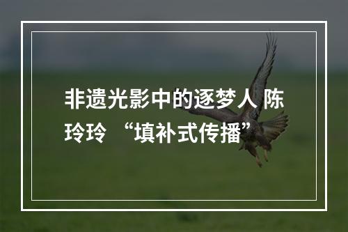 非遗光影中的逐梦人 陈玲玲 “填补式传播”
