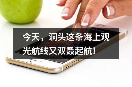 今天，洞头这条海上观光航线又双叒起航！