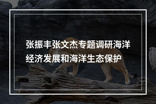 张振丰张文杰专题调研海洋经济发展和海洋生态保护