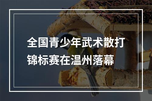全国青少年武术散打锦标赛在温州落幕