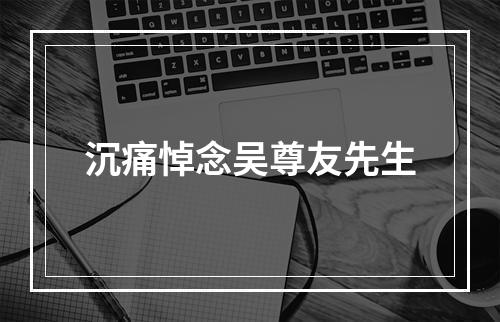 沉痛悼念吴尊友先生