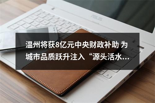 温州将获8亿元中央财政补助 为城市品质跃升注入“源头活水”
