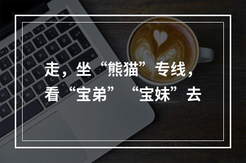 走，坐“熊猫”专线，看“宝弟”“宝妹”去