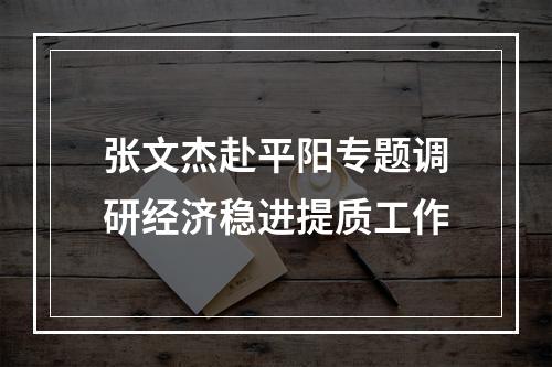 张文杰赴平阳专题调研经济稳进提质工作