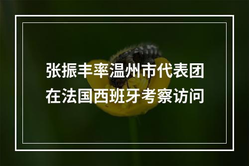 张振丰率温州市代表团在法国西班牙考察访问