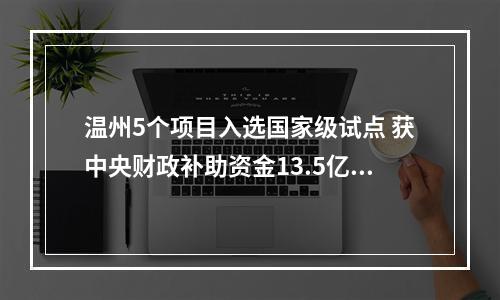 温州5个项目入选国家级试点 获中央财政补助资金13.5亿元