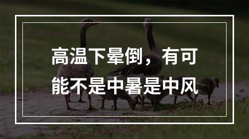 高温下晕倒，有可能不是中暑是中风