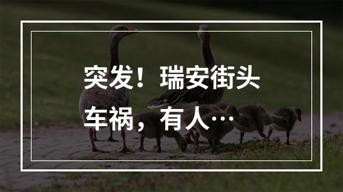 突发！瑞安街头车祸，有人…