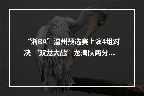 “浙BA”温州预选赛上演4组对决 “双龙大战”龙湾队两分之差憾负