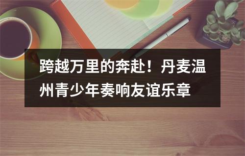 跨越万里的奔赴！丹麦温州青少年奏响友谊乐章