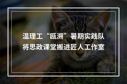 温理工“瓯溯”暑期实践队将思政课堂搬进匠人工作室