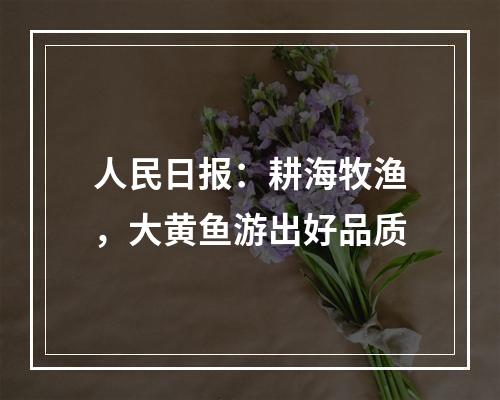 人民日报：耕海牧渔，大黄鱼游出好品质
