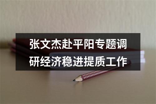 张文杰赴平阳专题调研经济稳进提质工作