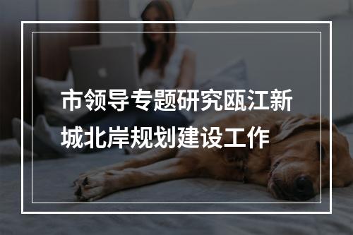 市领导专题研究瓯江新城北岸规划建设工作