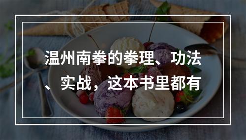 温州南拳的拳理、功法、实战，这本书里都有