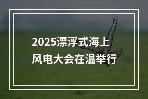 2025漂浮式海上风电大会在温举行