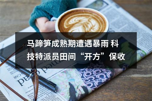 马蹄笋成熟期遭遇暴雨 科技特派员田间“开方”保收