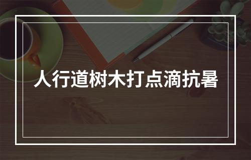 人行道树木打点滴抗暑