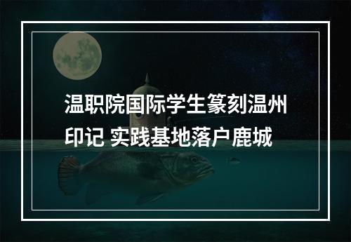 温职院国际学生篆刻温州印记 实践基地落户鹿城