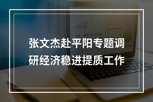 张文杰赴平阳专题调研经济稳进提质工作